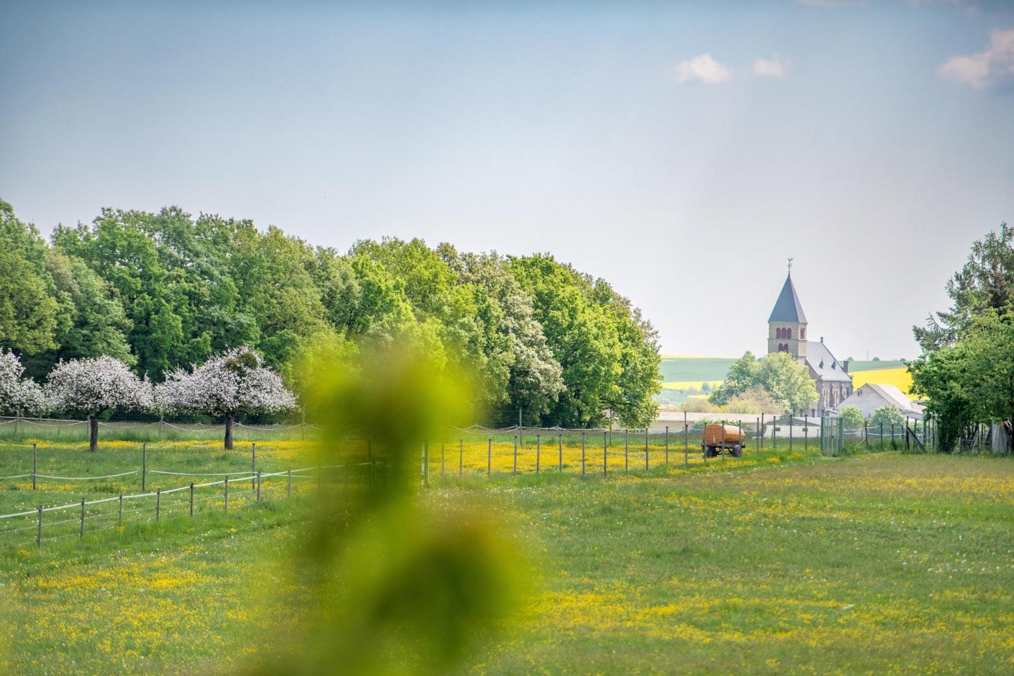 Waldesblick, Hotel-Restaurant Lahr  المظهر الخارجي الصورة